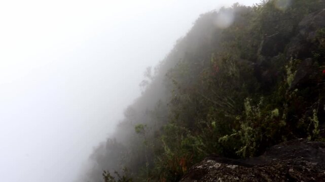Foggy mountain abyss