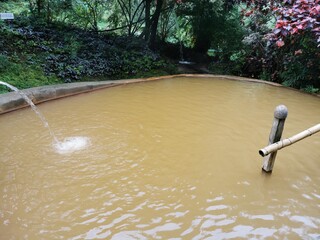  Natural Sulphur Hot Spring