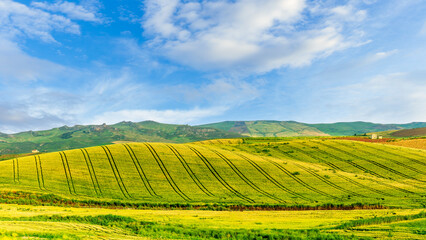 Scenic view at beautiful summer sunset in a wheaten shiny field with golden wheat and sun rays, deep blue cloudy sky and road, rows leading far away, valley landscape