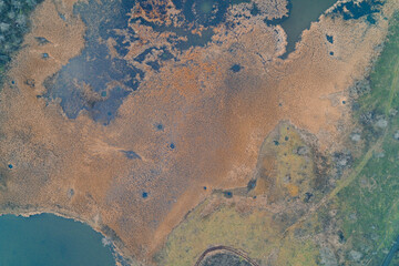 Dry swamp reeds texture with small water pools and artillery craters, abstract battlefield landscape seen from a high altitude aerial drone view