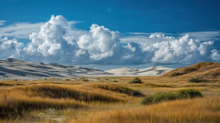 Dramatic cloudscape over rolling sand dunes and grasslands.