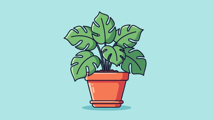 Vibrant Monstera Deliciosa Plant in a Terracotta Pot. © Kelik