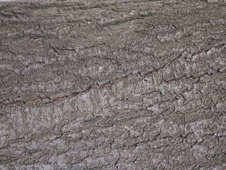 old wood texture