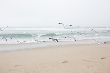 Vast Digital Landscapes