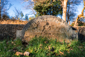 A weathered gravestone with lichen stains sits in a tree lined Liverpool cemetery. Late afternoon winter light casts long shadows. Close low angle composition highlights remembrance.