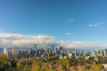 Calgary cityscape surrounded by park 