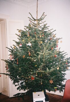 35mm film shot of a Christmas Tree with Warm Golden Lights