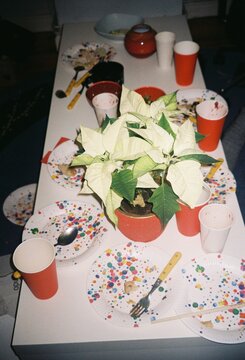 Party table shot on 35mm