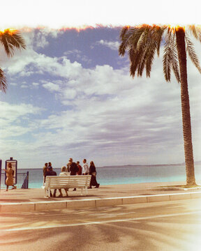 Palm trees at the seaside shot on film 
