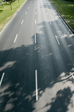 Empty Asphalt Road with Tree Shadows