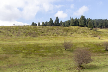 Fairy Mountain Grassland is located in Chongqing, China