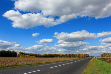 Country highway through golden fields and autumn forest, under dramatic cumulus clouds. Perfect for landscape, transportation, adventure, freedom, and outdoor exploration.