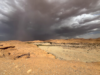 Dramatic desert landscape in the Sahara with dark storm clouds and rain over a distant palm tree oasis.