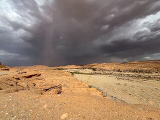 Dramatic Sahara desert landscape with dark storm clouds and rain falling over a distant palm tree oasis in Algeria.