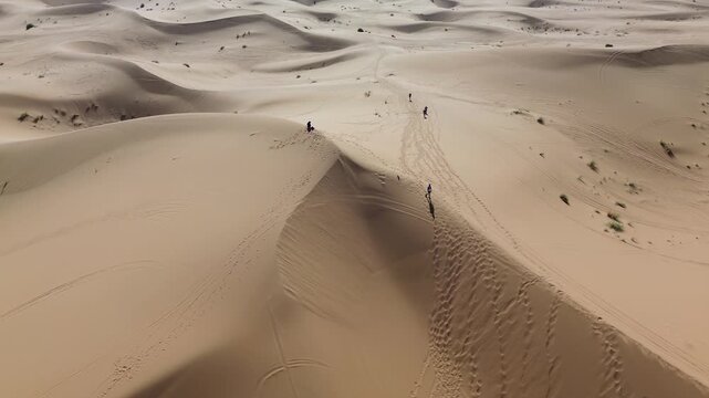 Sahara Desert Sand Dunes Erg Chebbi Merzouga Morocco Africa Camels Animal Caravan Vast Arid Landscape Nature Running Trail Endurance Sports Warm Outdoor Activities Adventure Travel Scenic Wilderness