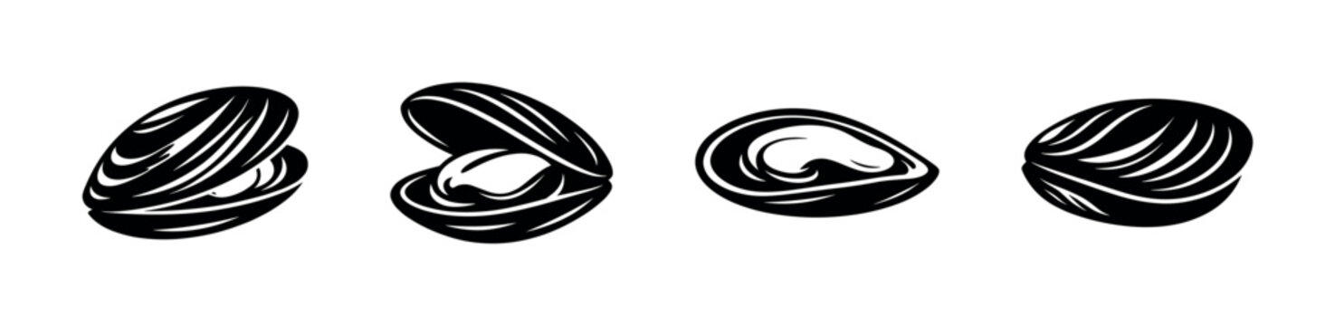 Shell vector icons set. seashells, clams, marine symbols