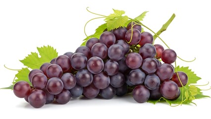 Fototapeta premium Fresh Bunch of Purple Grapes with Leaves