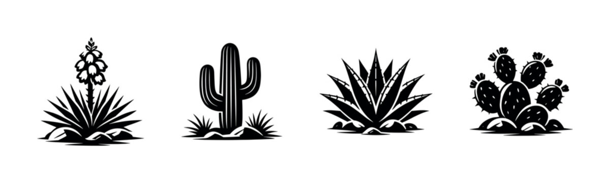Cactus vector icons set. desert plants, succulents, nature symbols