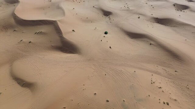 Sahara Desert Sand Dunes Erg Chebbi Merzouga Morocco Africa Camels Animal Caravan Vast Arid Landscape Nature Running Trail Endurance Sports Warm Outdoor Activities Adventure Travel Scenic Wilderness
