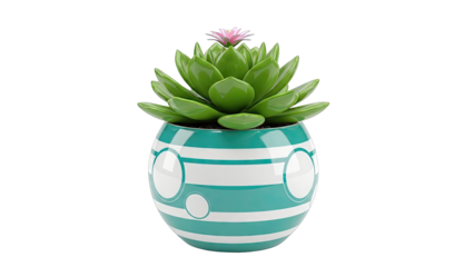 Succulent Plant in Decorative Striped Pot with Pink Flower