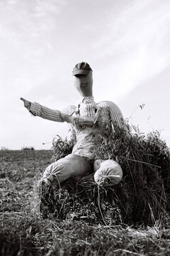 Show the direction by a scarecrow 