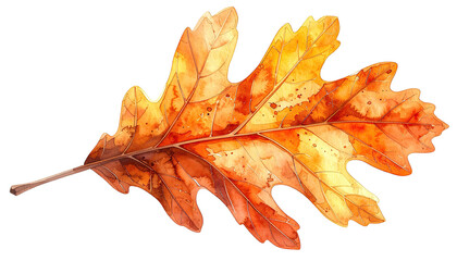 A vibrant, detailed illustration of a single, autumn-colored oak leaf, isolated on black
