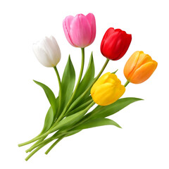 Obraz premium Colorful Tulip Flowers Bouquet Isolated
