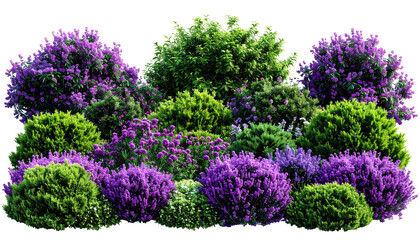 A vibrant garden featuring lush, diverse shrubbery in shades of green and purple, a natural beauty