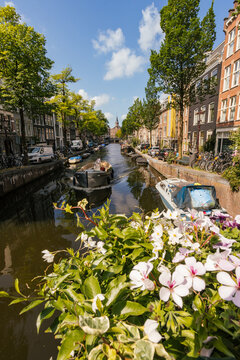 Exploring a Peaceful Canal in Amsterdam With Vibrant Flowers
