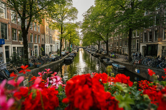 Bright Flowers Enhance the Beauty of a Serene Canal in Amsterdam