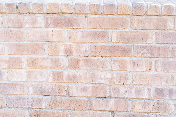 Light Brick Wall Background Texture①