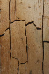 texture background of cracked wooden plank with lights and shadows