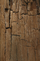 texture background of cracked wooden plank with lights and shadows