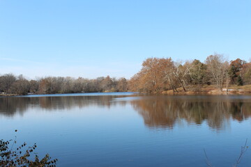 Obraz premium Calm Autumn Lake Reflections at Lake Park 