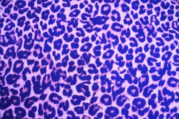 Seamless leopard pattern in blue and pink. Knitted wool pattern with a leopard design. Fabric and textile with leopard pattern and in blue, pink and black. Textured background for different material. © Martine
