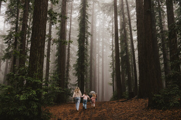 Children Running through Redwoods