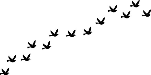 A minimalist black silhouette of a flock of birds in flight