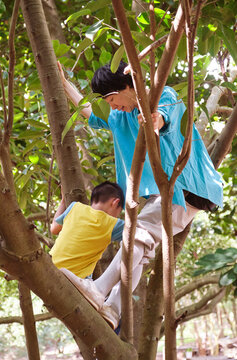 Asian mother and son climbing a tree and playing in the woods