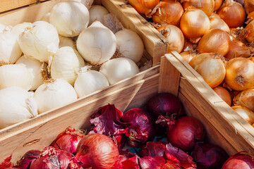 White, yellow, and red onions in wooden crates