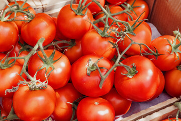Fresh Red Tomatoes at a Local Farmer's Market in Summer