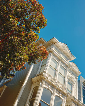 Historic Building Under Bright Blue Sky in a Sunny Neighborhood