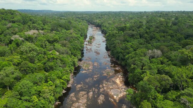 Aerial drone footage over the "Falsinho" river in the Amapa state, surrounded by the untouched brazilian Amazon rainforest