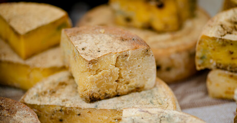Assorted homemade cheese for sale at outdoor farmers market in Vilnius. Traditional spring fair in...