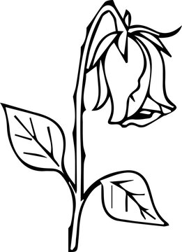 A black and white line drawing of a single wilting rose with its head drooping downwards, showing a stem with thorns and two leaves.