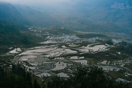 Scenic view of rice terraces reflecting sky in Yunnan, China 