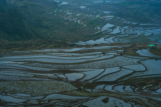 Moody view of rice terraces reflecting sky in Yunnan, China 
