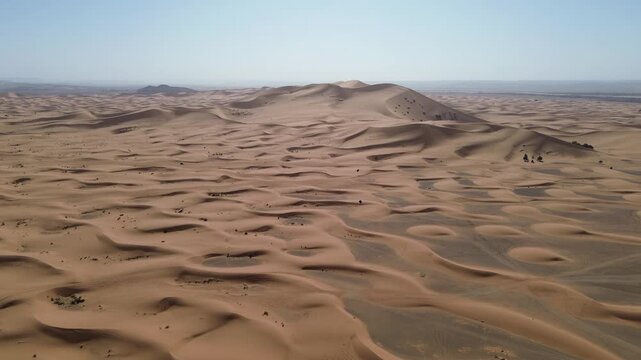 Sahara Desert Sand Dunes Erg Chebbi Merzouga Morocco Africa Camels Animal Caravan Vast Arid Landscape Nature Running Trail Endurance Sports Warm Outdoor Activities Adventure Travel Scenic Wilderness