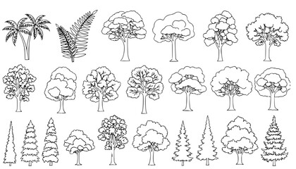 
silhouette tree line drawing set, Side view, set of graphics trees elements outline symbol for architecture and landscape design drawing. Vector illustration in stroke fill in white. Tropical