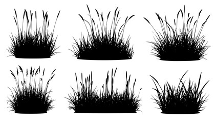set of bush grass shrub herb silhouette vector transparent background eps 10
