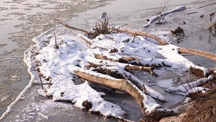 Śnieg leżący na powalonym drewnie nad wodą. © tomo81